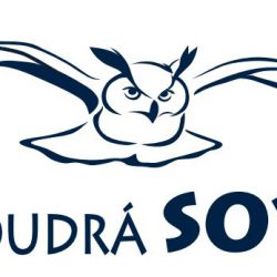 logo Moudrá Sova